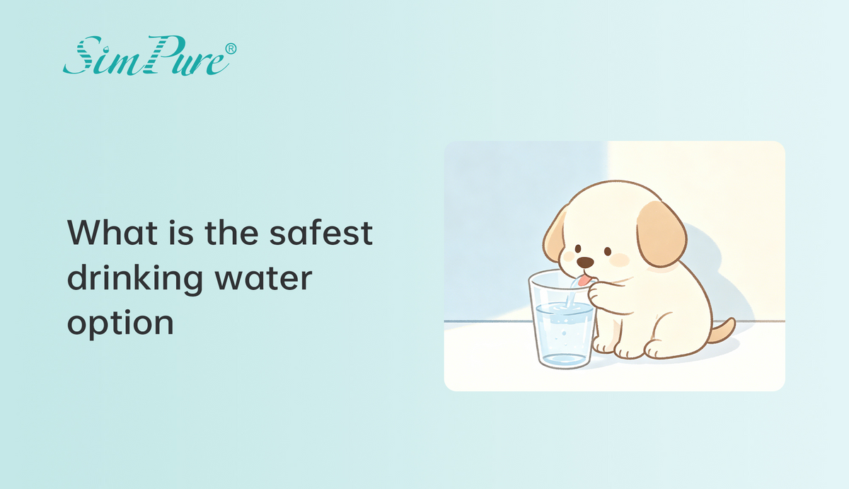 Is Reverse Osmosis Water Safe for Dogs? What Pet Owners Should Know