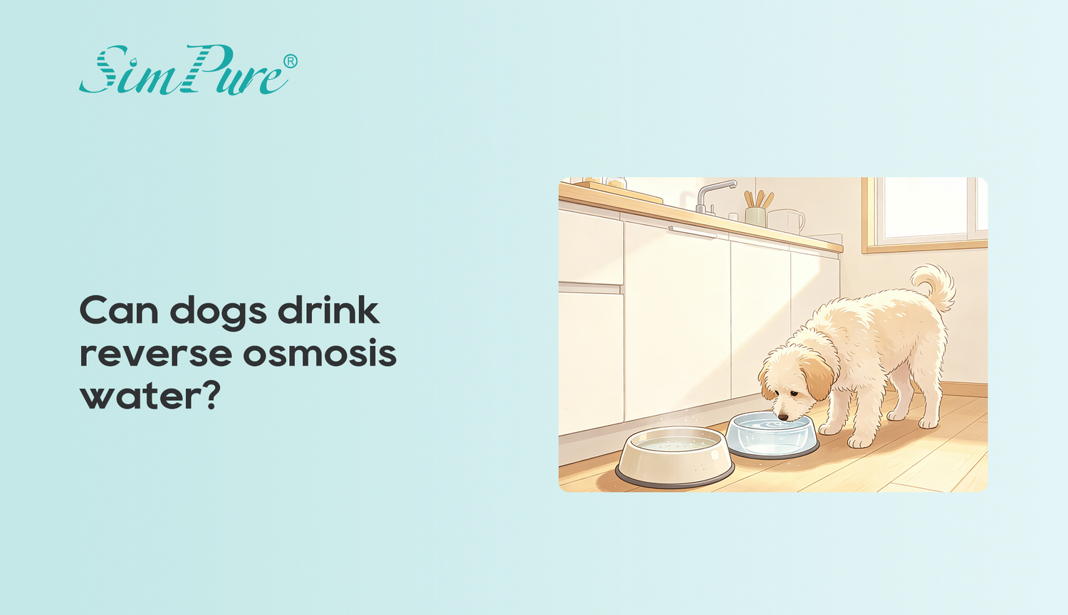 Can Dogs Drink Reverse Osmosis Water? What Pet Parents Should Know